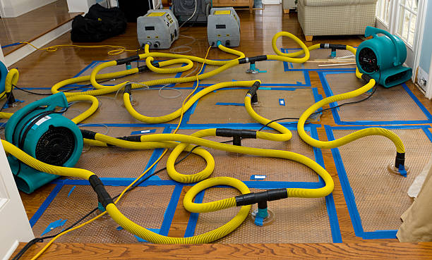 Professional Water Damage Restoration technician working in Williamsburg, FL